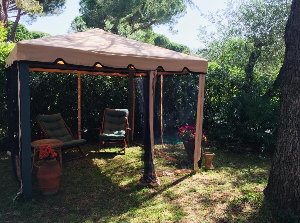 Appartamento Cedro del Libano Castiglioncello Esterno foto