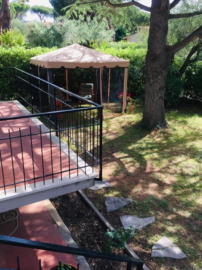 Appartamento Cedro del Libano Castiglioncello Esterno foto